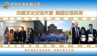 融匯中西，傳遞友誼——第五屆中國文化交流大使選拔活動組織策劃文化藝術(shù)交流活動紀(jì)實