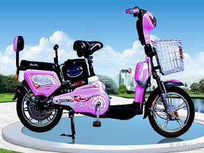 供應(yīng)全新原裝新日電 新日電動車 飛越2號