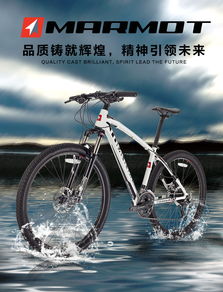MARMOT土撥鼠單車(chē) 自行車(chē)文化是自行車(chē)產(chǎn)業(yè)發(fā)展強(qiáng)大動(dòng)力