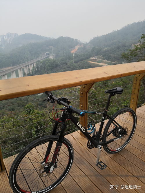 如何評價ucc自行車的產(chǎn)品