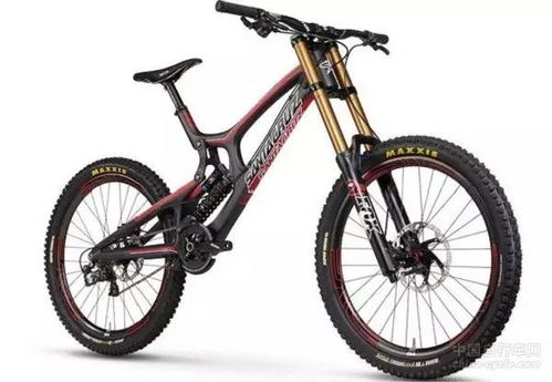 三鄉(xiāng)有人撞上一輛價值估計近兩萬元的 天價 自行車 這年頭,自行車都惹不起